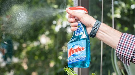 9 Best Glass Cleaners Of 2023 Reviewed