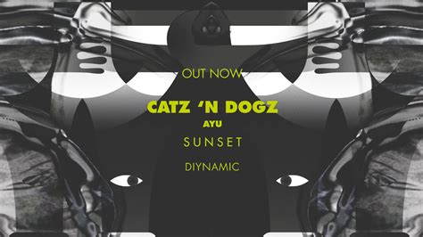 Catz N Dogz Sunset Youtube