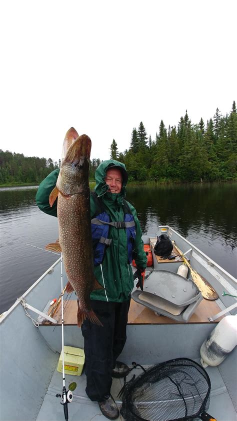 Shop for birthday presents for dad online at target. Great 70th birthday present for my dad. 40". Northern ...