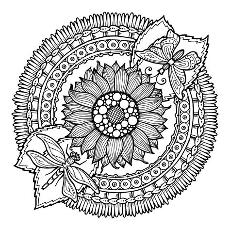 Disegni Mandala Per Adulti Da Stampare E Colorare Immagini Images