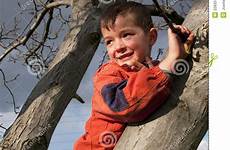 bambino albero arrampica felice ragazzo