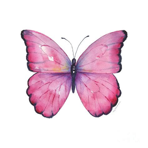 Real Pink Butterfly