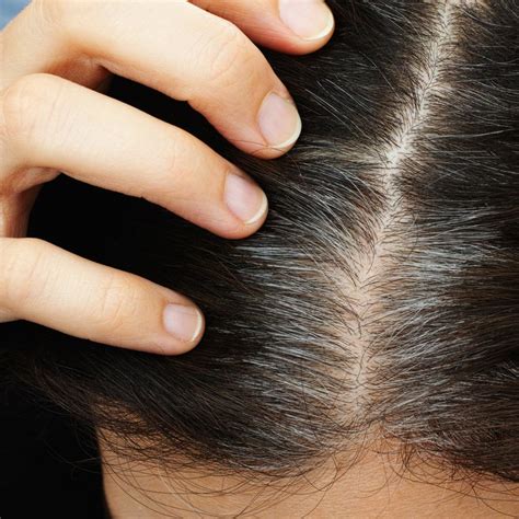 Henna contains no ammonia, metallic salts, or ppd's. Three Easy (and Low-Maintenance) Ways to Cover Gray Hair ...