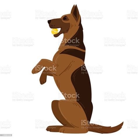 Cartoon Playing German Shepherd Cute Service Dog Breed Purebred