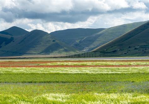 Piano Grande Di Castelluccio Italy Stock Photo Image Of Scenic