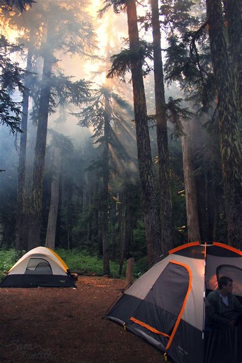 Camping In The Pacific Northwest Photo By Naturepunk Outdoors