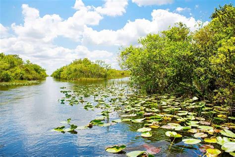 It is the third largest malaysian state by area and ninth largest by population. Florida Points of Interest: The Top Tourist Attractions in ...