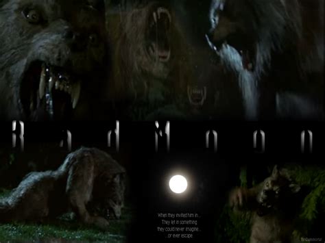 Bad Moon Werewolf Horror Movies Wallpaper 24688663 Fanpop