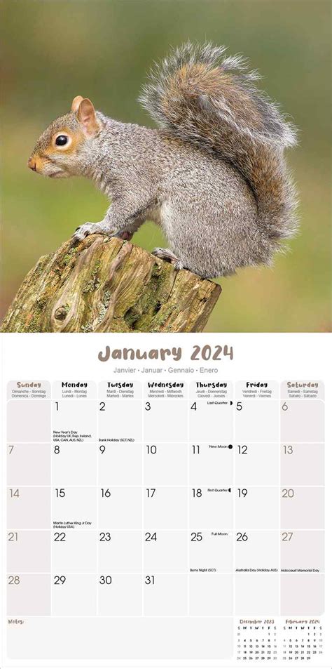 Squirrels Calendar Animal Calendars Pet Prints Inc