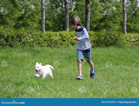 Niños Jugando Con Perro Imagen De Archivo Imagen De Juego 207254291