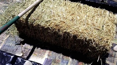 Layering Using Alfalfa Hay Or Pellets Backyardhomesteading Gardening