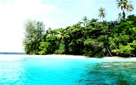 Download Wallpapers Lissenung Island 4k Tropical Island Summer Sea