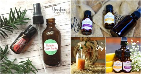 In an 8 ounce spray bottle, combine 1/4 cup apple cider vinegar, 2 tablespoons aloe vera gel, 1 tablespoon sweet almond oil, 10 drops sweet orange, 10 drops lavender, 10 drops cedarwood, 5 drops peppermint, and 5 drops lemongrass. 25 DIY Essential Oil Sprays You Need In Your Home Right ...