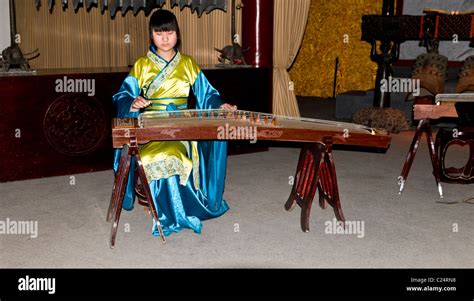 A Chinese Musician Playing The Zheng A Traditional Chinese String