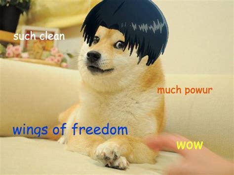 It is a picture of a shiba inu breed dog. The Best of the Doge Meme - Barnorama