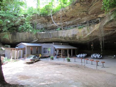 Rattlesnake Saloon, Tuscumbia - Menu, Prices & Restaurant Reviews - TripAdvisor
