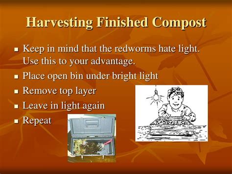 Ppt Vermicomposting Worm Composting Powerpoint Presentation Id