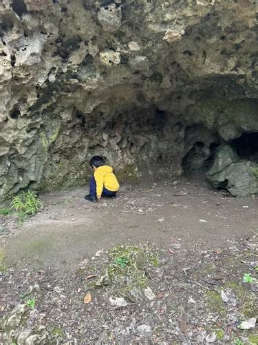 Best 10 Hiking Trails In Florida Caverns State Park AllTrails