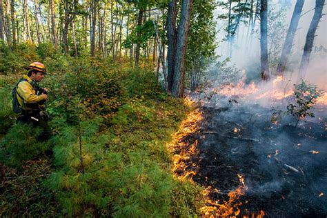 Controlled Burns Are An Important Tool For Maintaining The Health And
