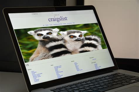 Rare animals stolen from sanctuary after fake Craigslist ad says ‘help