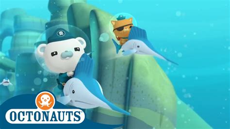 Octonauts Swordfish Racing Cartoons For Kids Youtube