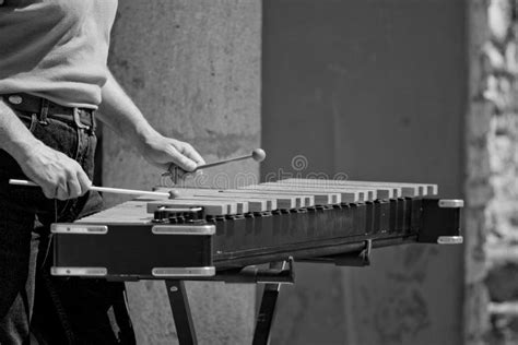 Man Playing Xylophone Stock Image Image Of Drum Melody 1861963