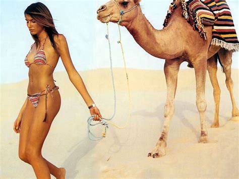 But, it is not very clear how the bactrian camel can drink in salt water. Bactrian camel and dromedary | DinoAnimals.com