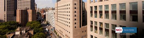 The Tisch Cancer Institute Mount Sinai Icahn Babe Of Medicine
