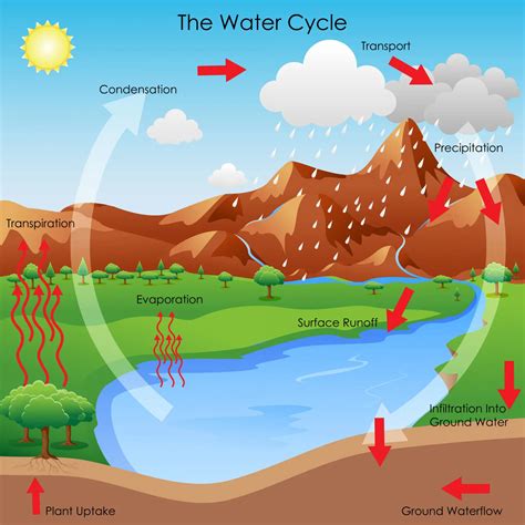 Where Does Your Water Come From Sources And The Water Cycle