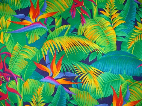 Bird Of Paradise Tropical Print Wallpaper Tropical Prints Pattern