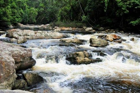 Anda pastinya tidak lagi pening kepala memikirkan tempat untuk menjamu selera setibanya di kawasan gua musang ini. 47 Tempat Menarik di Kelantan | listikel.com