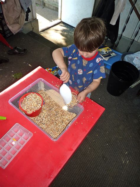 Sensory Table Ideas