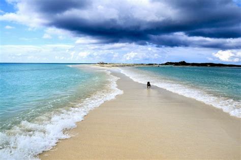 Where To Find The Most Beautiful White Sand Beaches In The World