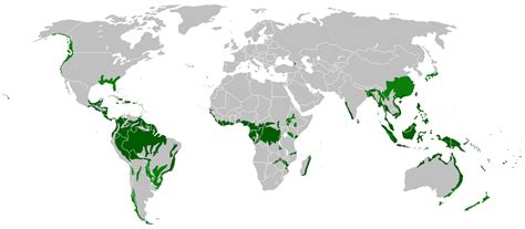 Necesario Posdata Director Mapa De Selvas En El Mundo Amoroso