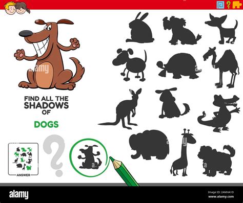 Cartoon Illustration Of Finding All The Shadows Of Dogs Educational