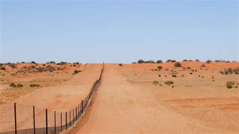Impact Of The Dingo Fence Seen From Space Sa Police News World Crime