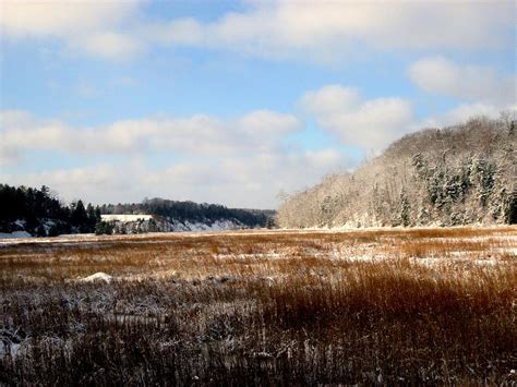 Winter Meadow Photograph By Larry Matthews