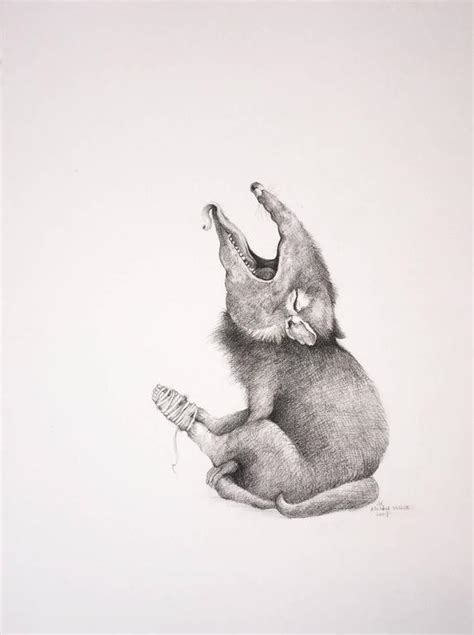 Adonna Khare Screaming Animal For Sale At 1stdibs