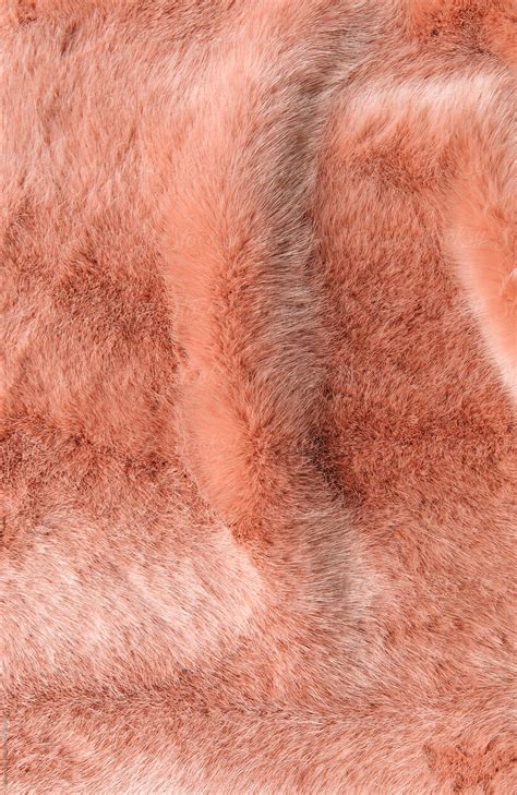 Faux Fur Texture By Stocksy Contributor Natasa Kukic Stocksy