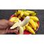 Growing Dwarf Bananas In Your Garden – Rajapuri Banana Tree 