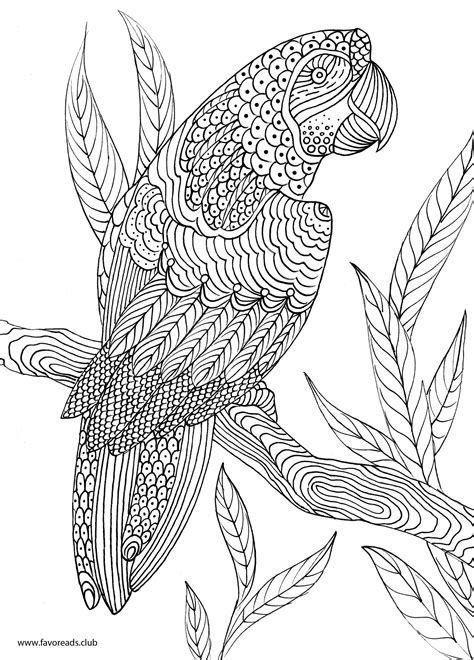 Coloring Pages For Grown Ups Free Adult Coloring Bird Coloring Pages