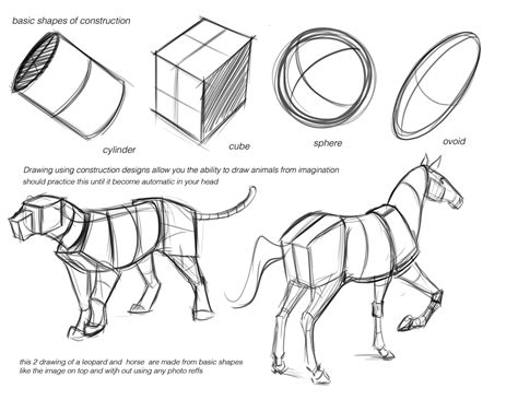 Concept Design Academy Animal Anatomy With Jonathan Kuo