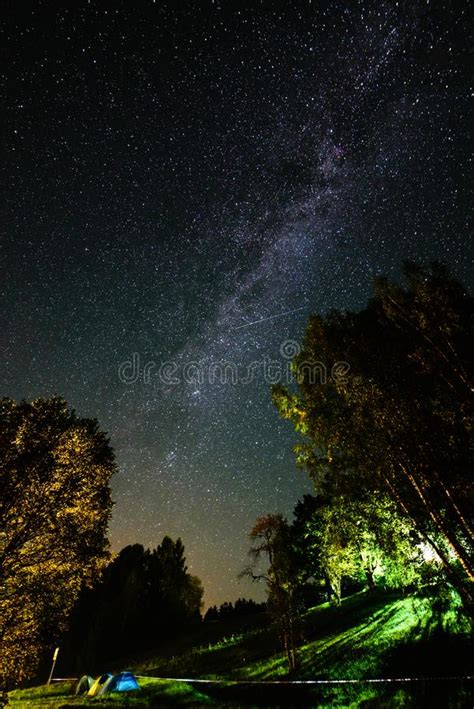 Colorful Milky Way Galaxy Seen In Night Sky Over Trees Stock Photo