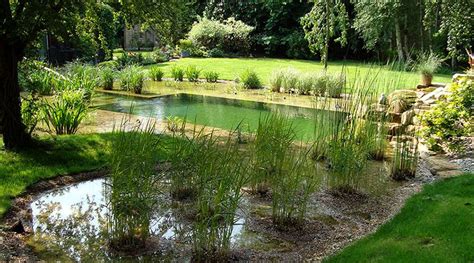 All About Natural Swimming Pools Green Home Guide Ecohome