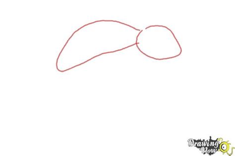 With a pencil, i draw an oblong shape for the lizard's head. How to Draw a Cartoon Lizard | DrawingNow