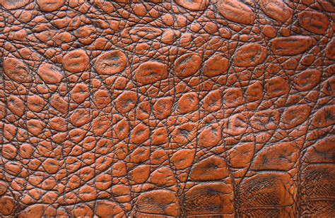 Free Images : rock, wood, leather, texture, trunk, wall, natural, brown ...