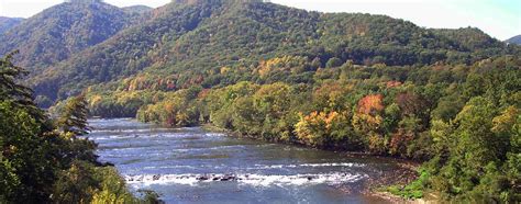 top river trips  north carolina  wildlife american rivers