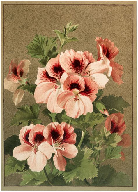Vintage Pink Flowers Image The Graphics Fairy