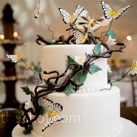 White Butterfly Cake