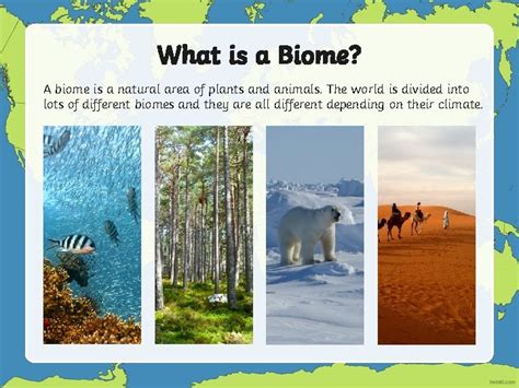 What Is A Biome A Biome Is A